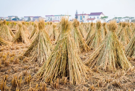 1677660257612223.png 图片2.png